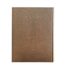 History Of Leon County Texas Genealogy 1986 Families Illustrated Centerville