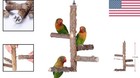 Handcrafted Wooden Perch For Parrots - Ideal For Lovebirds And Parakeets  11  H