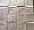 Vtg Workbasket Embroidery Transfer Pattern 2962 Hillbilly Hot Pads Roses Uc