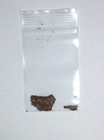 Ex Bonhams 3300 Years Old Painted Egyptian Papyrus Fragment New Kingdom With Coa