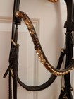 Brown Masego Horsewear Bridle Convertable - Cob Size