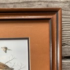 J  Lee Framed Bird Art Print 9 5x7 5 Mourning Doves Vintage Wildlife Wall Decor
