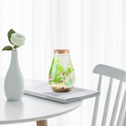 Clear Glass Vase Orb Terrarium Globe Small Oval Vase Glass Display Bottles