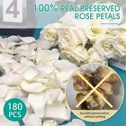1 75oz White Dried Real Rose Petals Freeze Preserved Wedding Flower Girl
