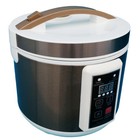 5l 110v Health Fermentation Pot Black Garlic Fermenter Yogurt Natto Fermenter
