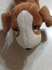 Ty Beanie Babies Plush 6  Tracker Hound Dog