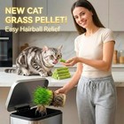 Nswxzds Cat Grass Sticks For Indoor Cats 50g Chicken 50g  Multi-colored