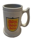 Winter Olympics Denver 1976 Pfaltzgraff 286m Beer Mug Stein Ceramic Rare Novelty