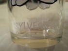 Sylvester The Cat 1973 Pepsi Looney Tunes Dinking Glass Warner Bro White Letters