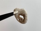 Holey Beach Rock Hag Stone Adder Magic Eye  12 Hag-in-hag Heart Natural Fairy Us
