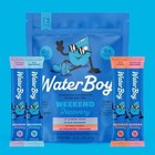 2 X Waterboy Weekend Recovery Sample Pack     2 Packs  12 Sticks Each 
