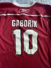 Reebok Minnesota Wild Marian Gaborik  10 Nhl Hockey Jersey Red Youth L xl