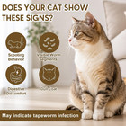 Aether Cat Dewormer For Cats   Kittens 6 Weeks And Older  Tapeworm Care Formula