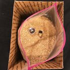 Approximately 20-35lbs Us Gold Nugget Pay Dirt  Free Shipping Paydirt