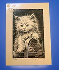 Kathryn Darling Signed Cat Art Print  199 500 Fluffy White Kitten Kitty 7 x5 