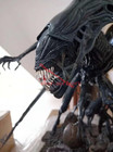 Alien Queen Statue Figure Model Collectible Resin Painted Limited Sideshow