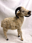 Rare Antique 1800s Victorian Real Fur Ram Sheep Childs Toy   Small Taxidermy