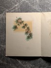 Vintage Christmas Card Pine Cones Engraved Mid Century Holiday Greeting