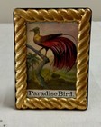 Vintage Antique Victorian Ephemera Framed  Paradise Bird  From 1880   s Scrapbook