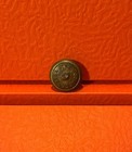 Confederate Non Dug South Carolina Cuff Kepi Button Civil War Military Cs Relic