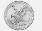 2025 1 Oz  999 Fine Silver American Eagle  1 Coin Bu