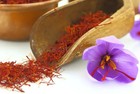 12 Crocus Sativus- the Famous Saffron Crocus  pack Of 12 Large Bulbs zones  4-9