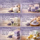 Lavender Essential Oil By Greenhealth Sizes 5ml - 1gal