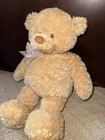 Gund Baby Gund Cuddly Pals Big Puddin Teddy Bear Plush Stuffed Animal 58392 Euc