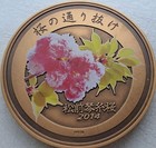 Cherry Blossom Passage Commemorative Bronze Medal
