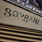 Vintage 1950s  Soprani Rialto Accordion With Case   See Pics
