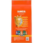 New    Proactive Health Chicken Dry Cat Food  7 Lb Bag