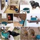 Heated Water Bowl For Outdoor Cats Dogs 2 2l Heated Waterer For Chickens 