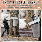 5 Set Maple Syrup Tree Tapping Kit Maple Syrup Sugaring Starter Taps