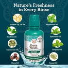 Oral Rinse Mouthwash  Promotes Fresh Breath Up To 24 Hours  7 Essential Oils   V