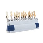 29 Colors Vita Toothguide Dental 3d Master With Bleached Shade Guide Resin Usa