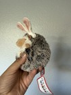 Douglas Cuddle Toy Spunky Hedgehog Bunny Ears Easter Plush Stuffed Animal Nwt 5 