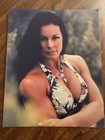 Lot Of 6 Different Victoria Wwe Divas 8x10 Color Photos