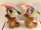 Vintage Tropical Birds On Leafy Stump Salt And Pepper Shakers Japan