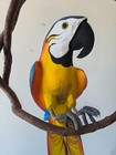 Vintage 41  Wooden Life-size Macaw Parrot Hanging Branch Bird Rare Realistic Hug