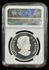 Canada 2016  20 Baby Loon Colorized Silver Proof Pf70 Uc Ngc Perfect Coin