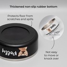 Personalized Pet Bowl With Name photo  Custom Non-slip Dog   Cat Food And Water