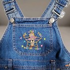 Vintage Cartoon Network Scooby Doo Overalls Kids 6 Shortalls Denim 90s Y2k Rare 