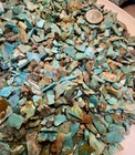 1 Lb Of Turquoise  Bell Trading Post Small Corinthian Slabs     chiplets 
