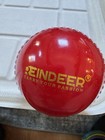10 Indoor Soft Practise Cricket Balls New And Used White Red Pink Synthetic