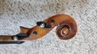 Antique Sebatian Gotz 4 4 Violin Stainer Dominant Strings One Piece Back