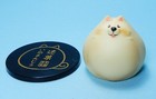 Stasto  Animal Attraction White Pomeranian Dog Chubby Figure Us Seller New