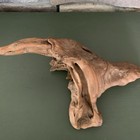 Beach Wood Knot Driftwood Diy Woodworking 9x14   