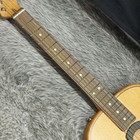 Fender Highway Parlor Rw All-mahogany Used