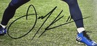 Julian Edelman Signed Photo  8x10 With Coa  New England Patriots