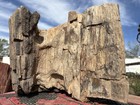       rr        Detailed Rough Arizona Petrified Wood  34 Lbs 
